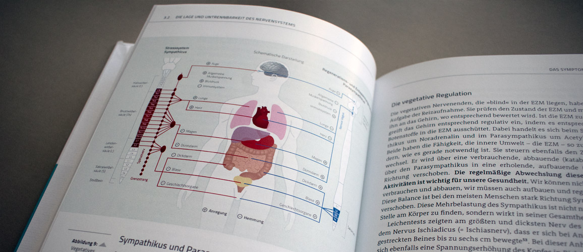 Illustration Sympathikus–Parasympathikus 
